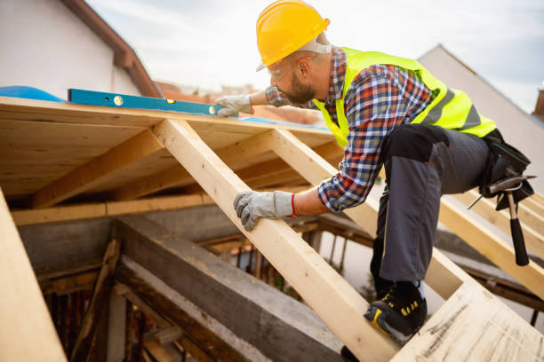 Roof Gutter Cleaning in Lakeland Highlands, FL